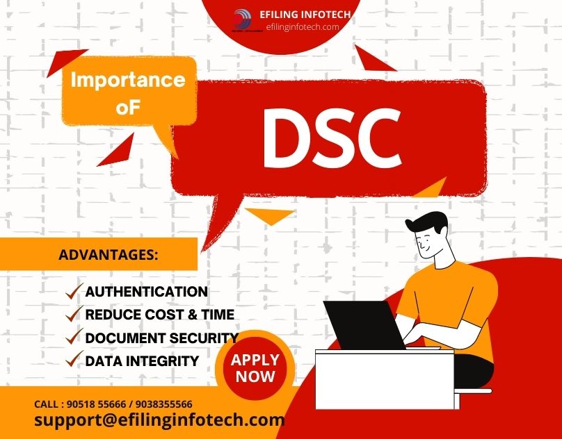 Read more about the article Importance of DSC for fulfilling statutory requirements