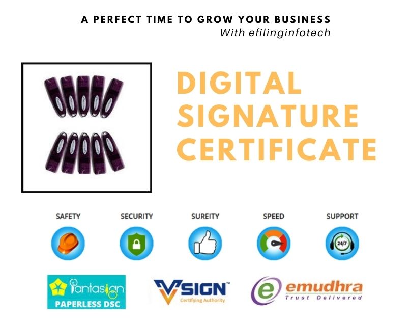 Read more about the article Pantasign Digital Signature DSC Franchise Agency Online